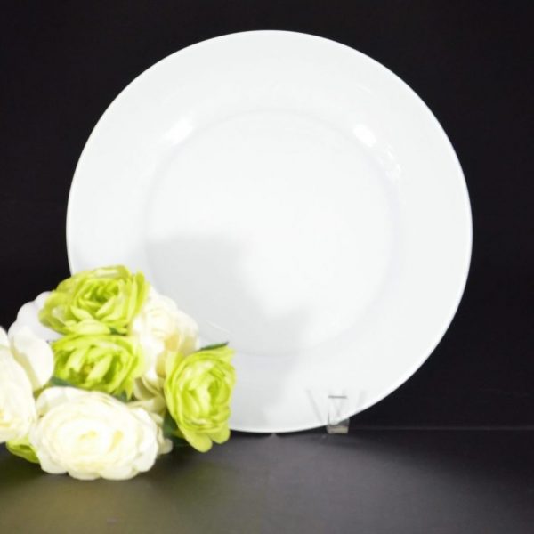 White Frosted Dinner Plate