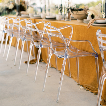 Sculpted Acrylic Chair Rentals