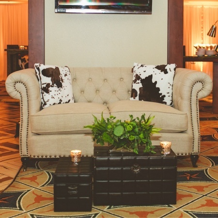 Tarrytown Loveseat, Leather Trunks, and Cow Hide Pillows