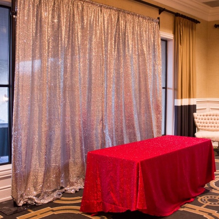 Silver Sequin Drape and Red Shalimar - Hannah Schneider Photography