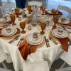 Spice Velvet Napkin + Lucca Rose Gold + Carousel Amber _ Wood Charger + Villa Deste