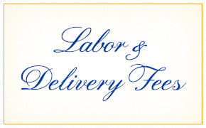 Labor and Delivery Fees