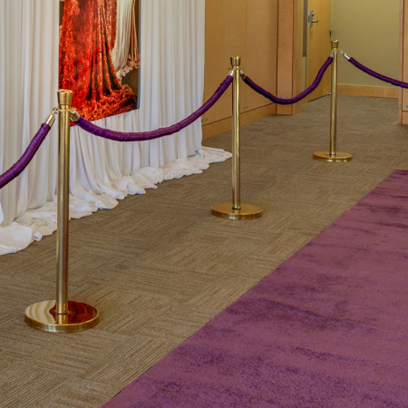 Rope and Stanchion and Purple Carpet