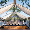 Clear Top Structure Tent with Draping