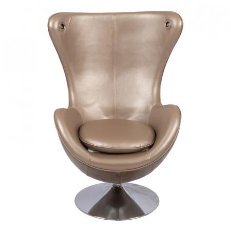 Silver Metallic Modern Chair