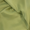 LIGHT OLIVE ECONOMY