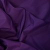 PURPLE ECONOMY