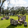 Cow print lounge furniture at outdoor event