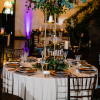 Beige Fresco Velvet Linen Rentals
