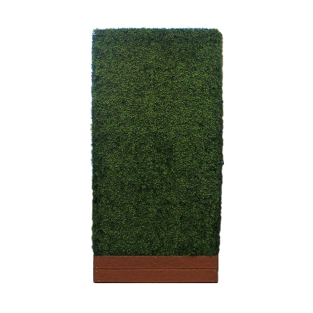 Tall Boxwood Hedge Wall