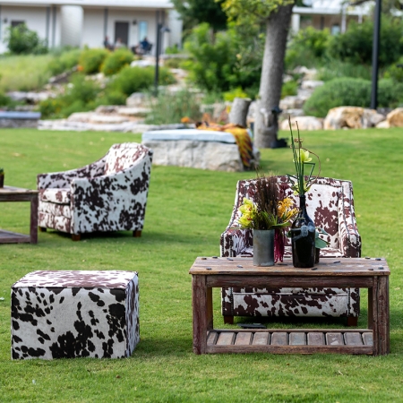 Cow print lounge furniture and vintage coffee table