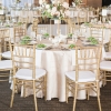 Champagne Dupioni and Gold Chiavaris