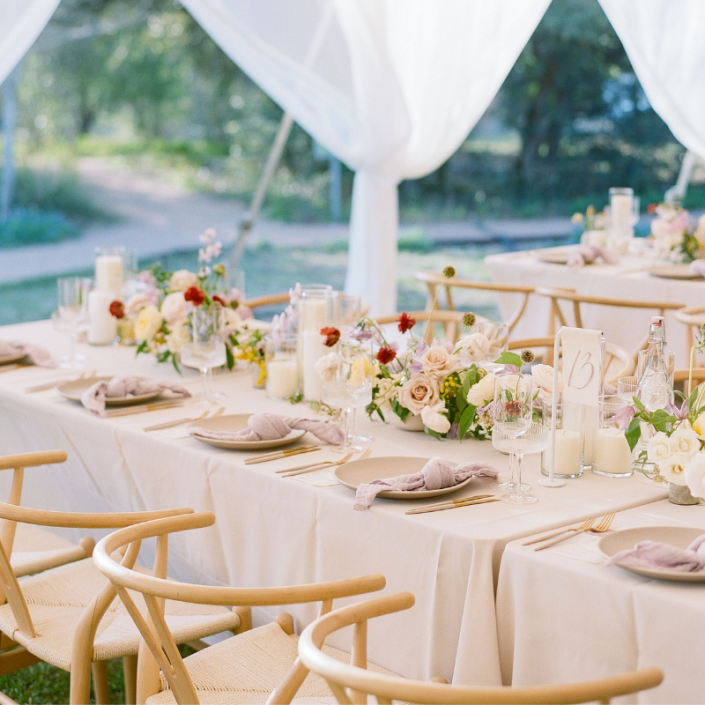 Beige Economy Linen Rentals | Premiere Events