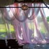 Pink Voile Draping