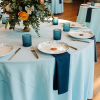 Light Blue Economy and Azure Dinner Plate