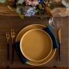 Hampton Black/Gold, Kaleb Stoneware Honey, Iridescent Crush Teal, Stemless Wine Glass- GYPC Girl Photography