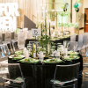 enchanting candelabra patti darby