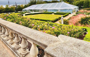 clear top structure tent