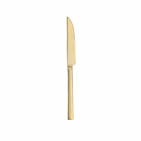 Arezzo Gold Steak Knife