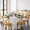 PANAMA IVORY - ASHLEN SYDNEY PHOTOGRAPHY