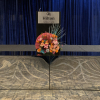 MIRRORED STAGE FACADE
