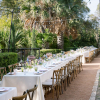 IVORY PANAMA, MADELINE CHAIRS - REGAN WRIGHT PHOTOGRAPHY