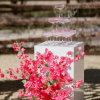 Light Pink Eve Coupe, 33 x 17 White Pedestal - Courtney Davidson Photography - Omni Barton Creek