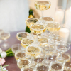 Champagne Saucers - Image 10