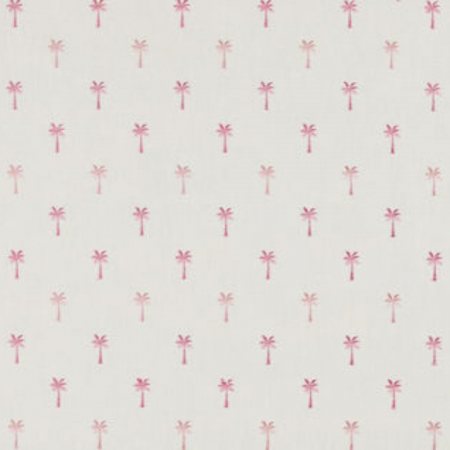 Pink Pindo Palm - House of Hough