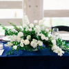 Marine Velvet - Image 13