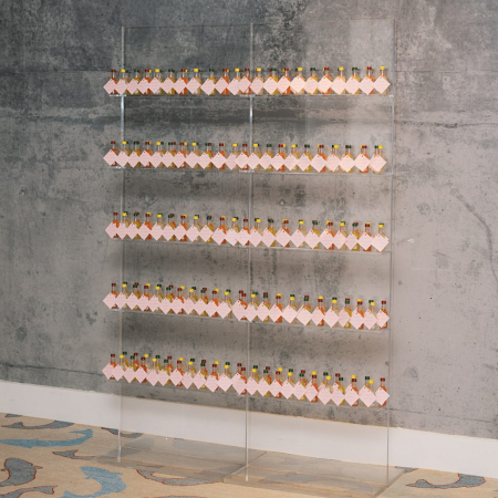 2 Clear Lucite Shelves - Leigh Carolyn Media - The Line Hotel Austin