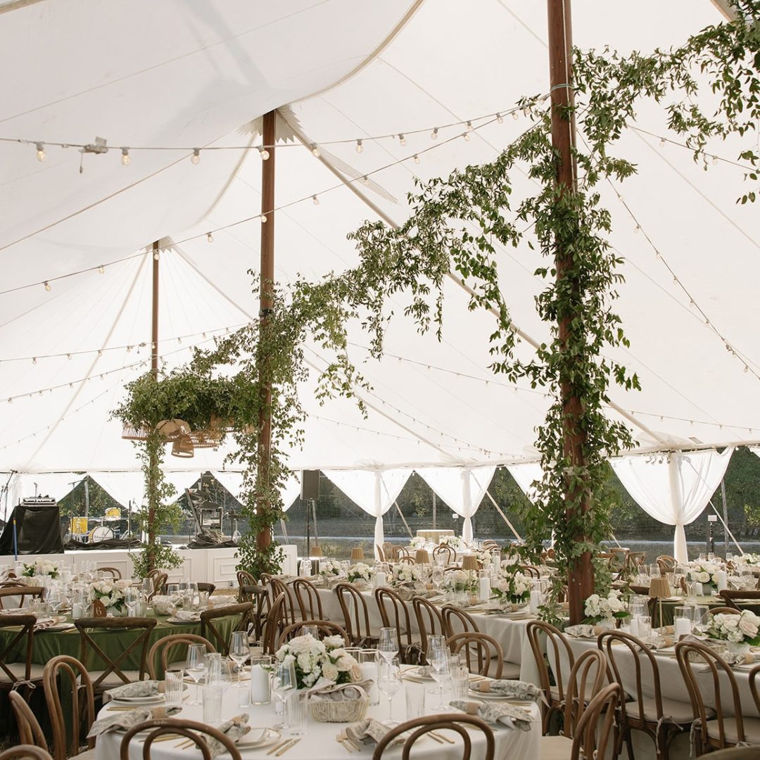 44 x 103 Tidewater Tent + Festoon + Voile Leg Drape - Madison Sears Photography