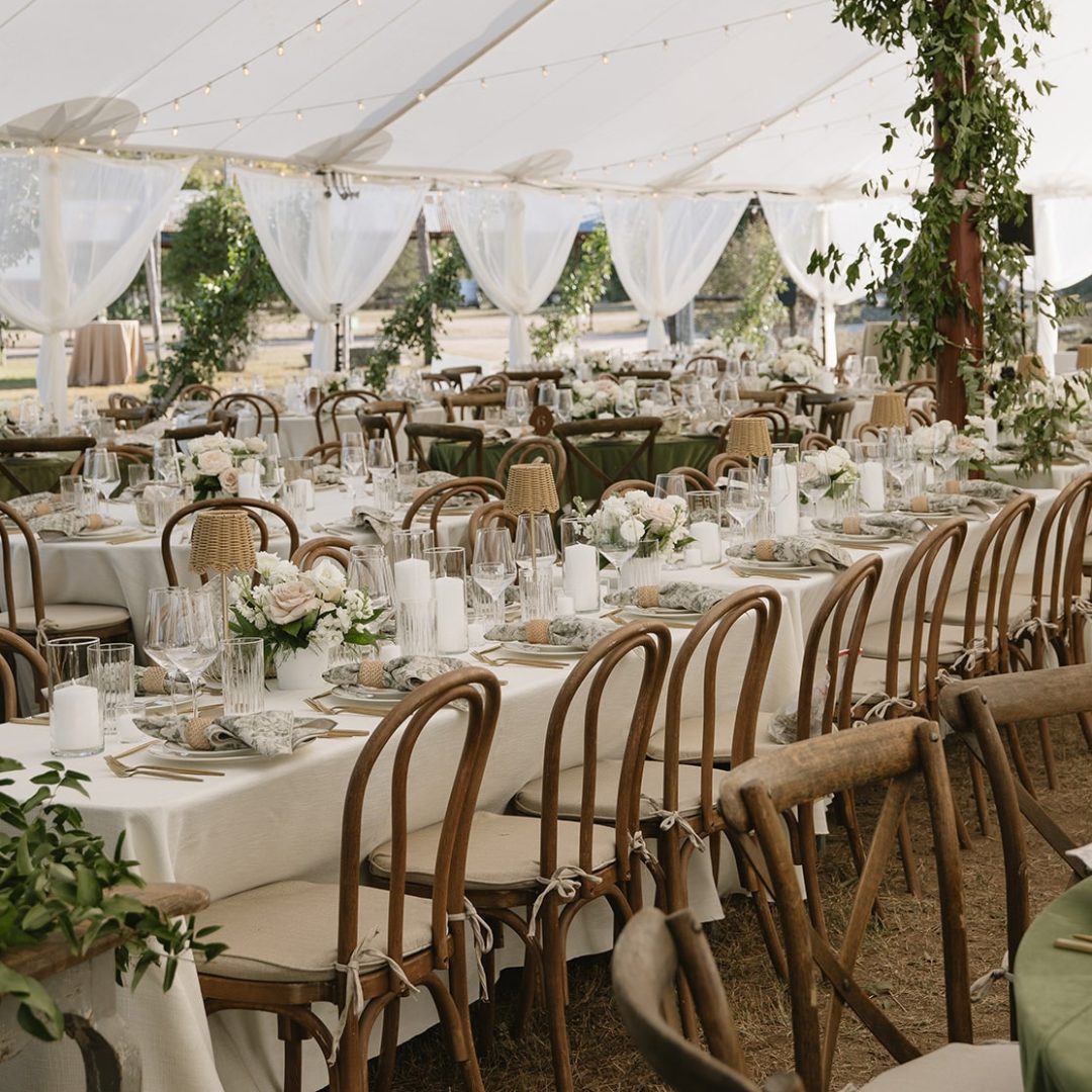 Bentwood Cafe Chairs + Madeline Pad + Tidwater Voile Legs- Madison Sears Photography