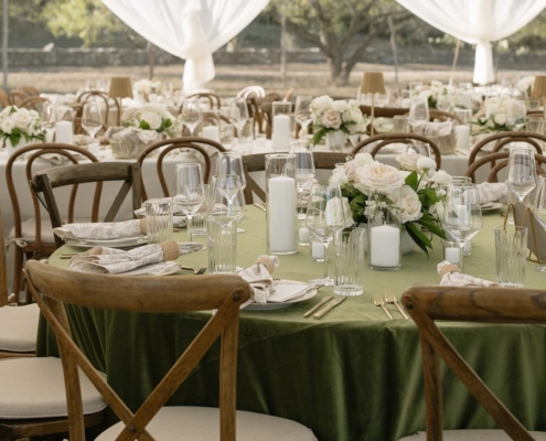Leaf Velvet + Madeline Cafe Chair + Pad + Tidewater + Voile Leg Drapes - Madison Sears Photography