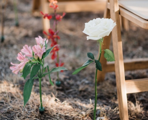 Natural Resin Garden Chair - Carhart Photography